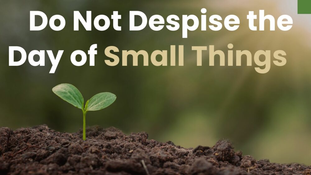 Do Not Despise the Day of Small Things  Image