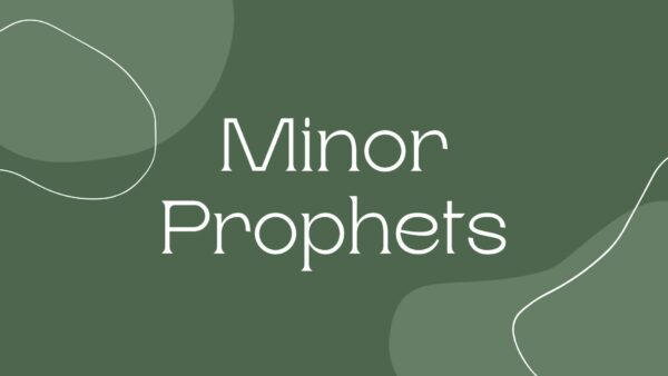 Minor Prophets: Joel: The Promised Spirit  Image